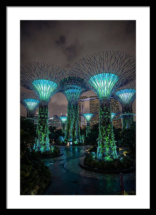 Gardens By The Bay Supertrees