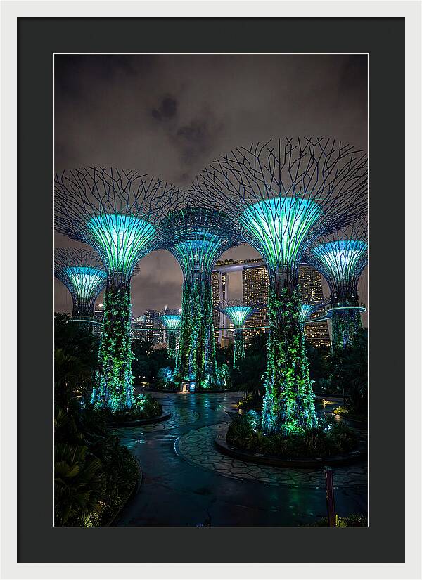 Gardens By The Bay Supertrees