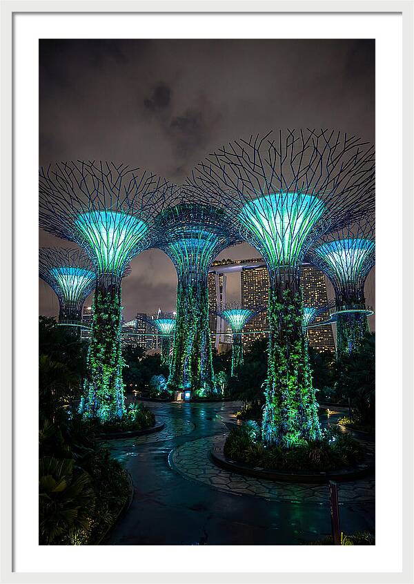 Gardens By The Bay Supertrees