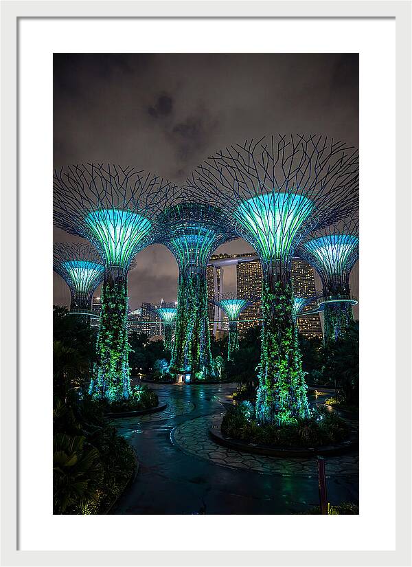 Gardens By The Bay Supertrees