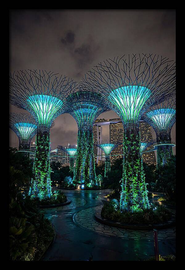 Gardens By The Bay Supertrees