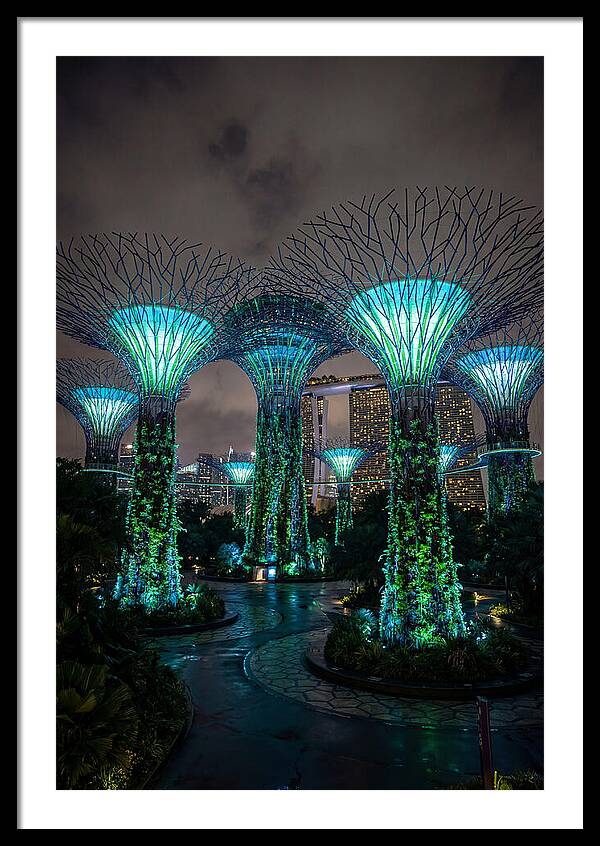 Gardens By The Bay Supertrees