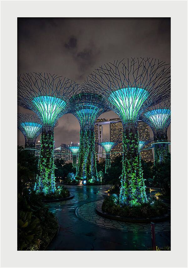 Gardens By The Bay Supertrees