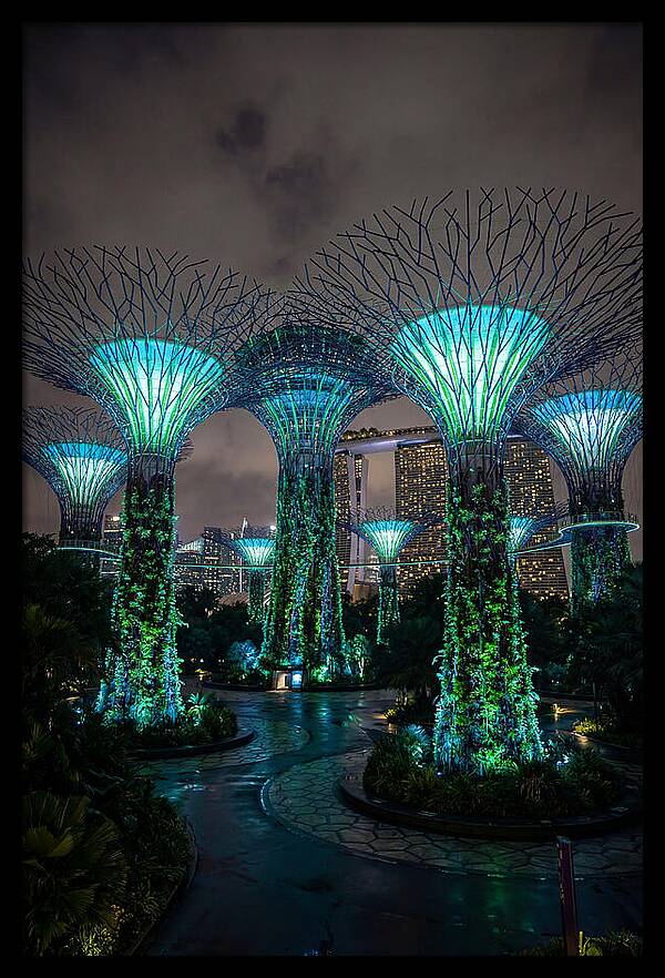 Gardens By The Bay Supertrees