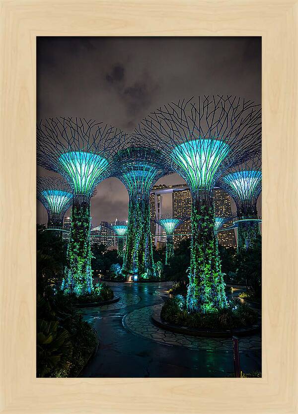 Gardens By The Bay Supertrees