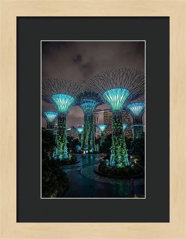 Gardens By The Bay Supertrees