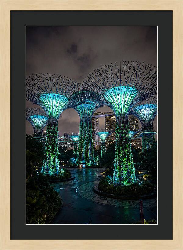 Gardens By The Bay Supertrees
