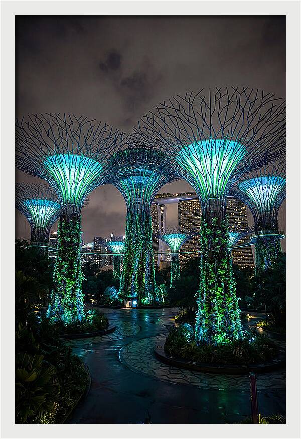 Gardens By The Bay Supertrees
