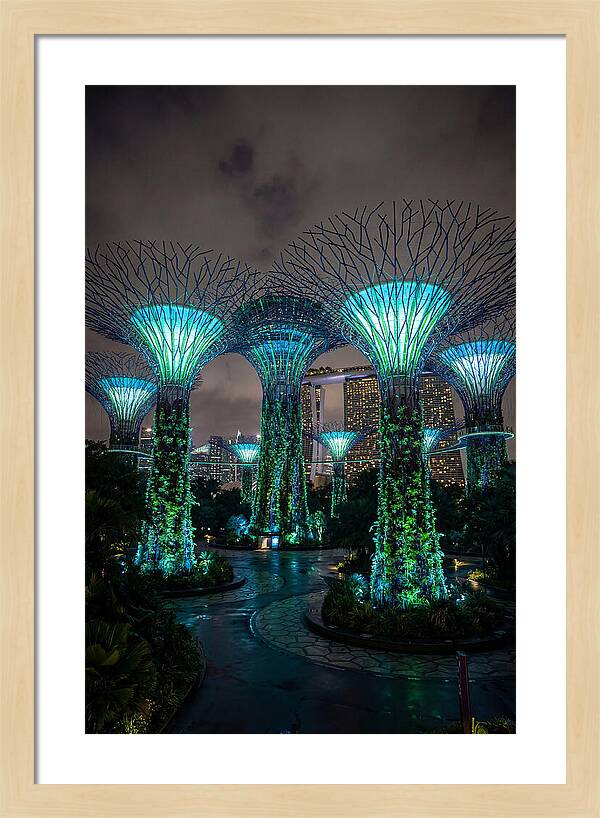 Gardens By The Bay Supertrees