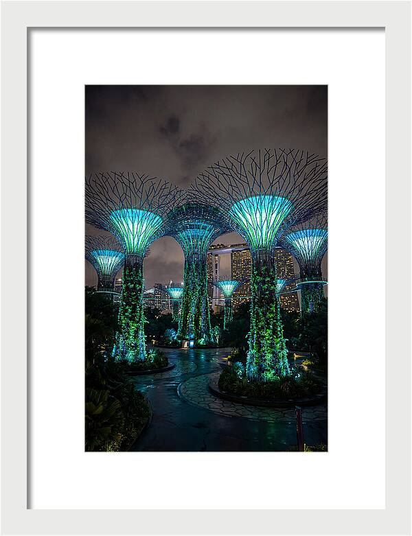 Gardens By The Bay Supertrees