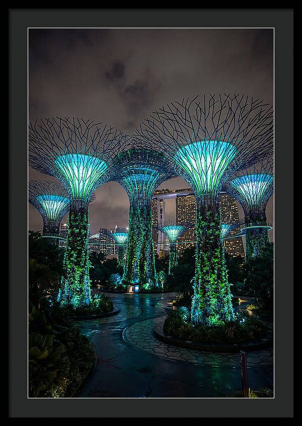 Gardens By The Bay Supertrees