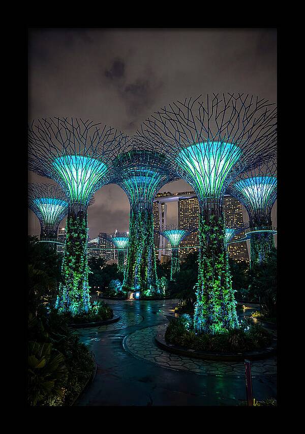 Gardens By The Bay Supertrees