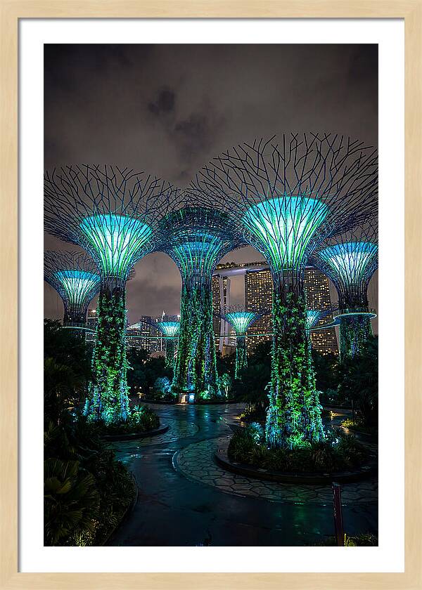 Gardens By The Bay Supertrees