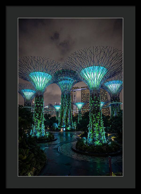 Gardens By The Bay Supertrees
