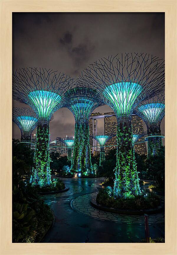 Gardens By The Bay Supertrees