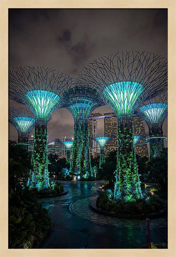 Gardens By The Bay Supertrees