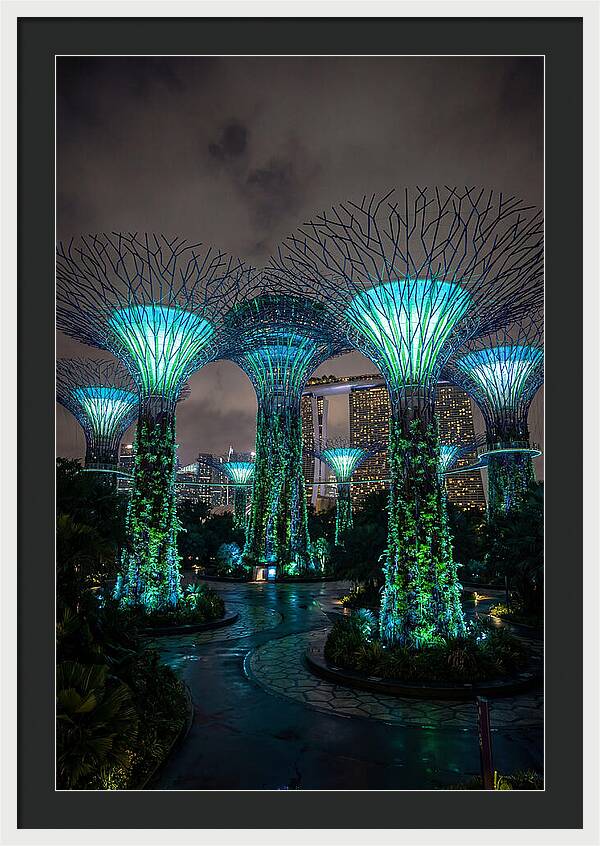 Gardens By The Bay Supertrees
