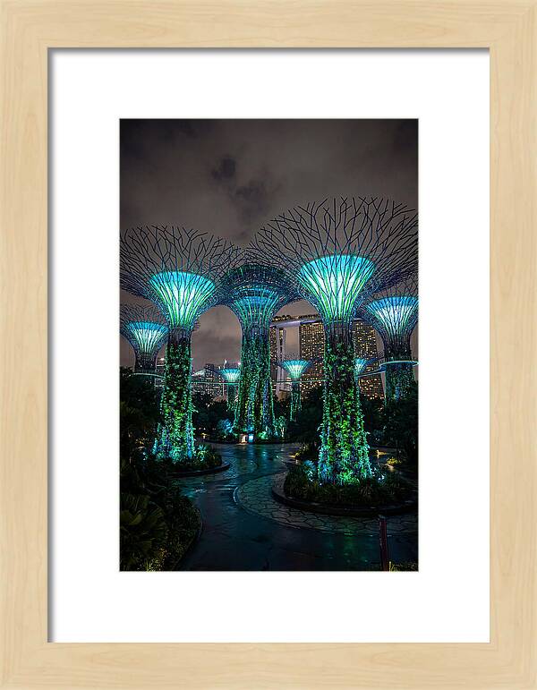 Gardens By The Bay Supertrees