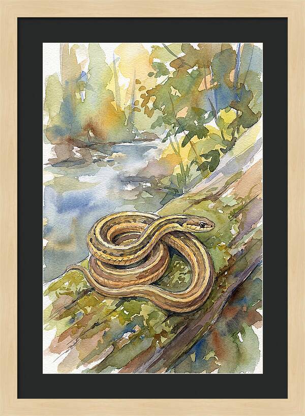 Garter Snake Among Natures Beauty