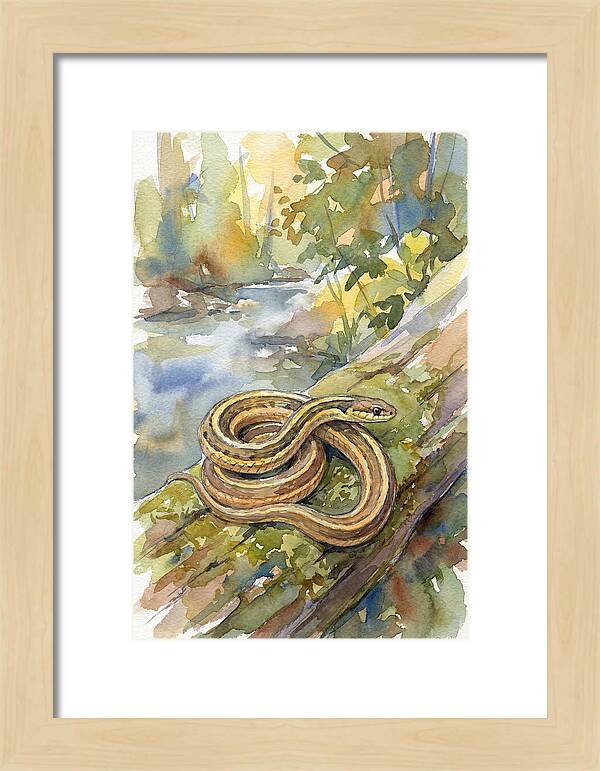 Garter Snake Among Natures Beauty