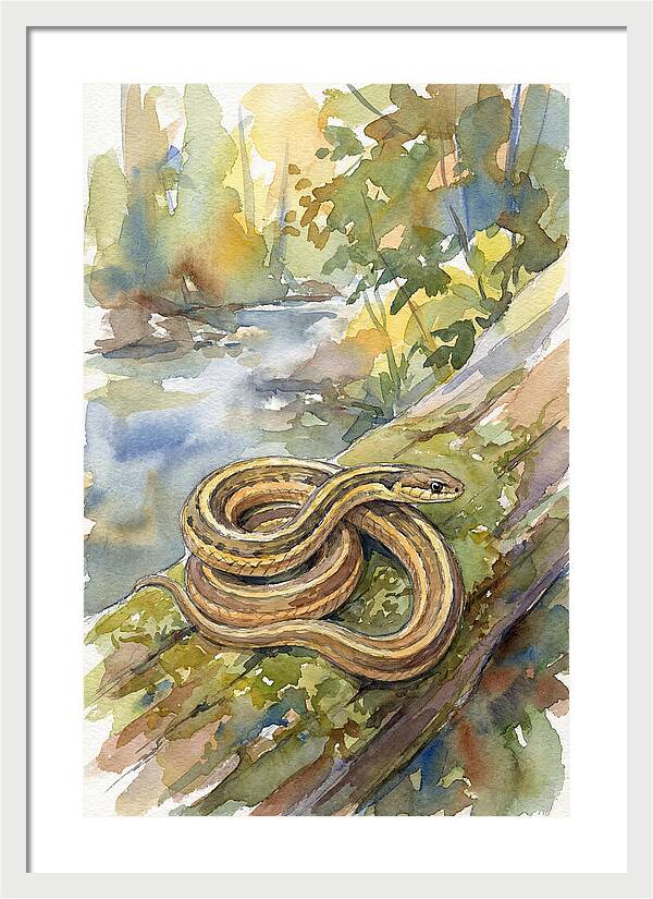 Garter Snake Among Natures Beauty