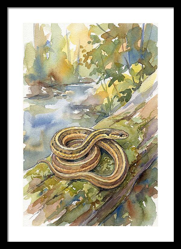Garter Snake Among Natures Beauty