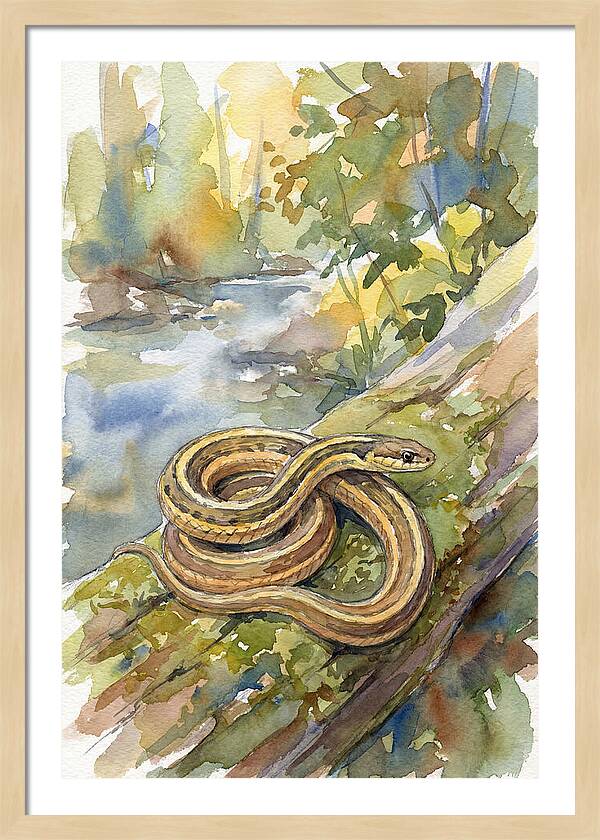 Garter Snake Among Natures Beauty