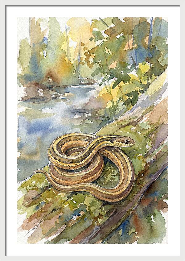 Garter Snake Among Natures Beauty