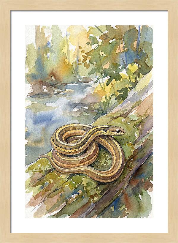 Garter Snake Among Natures Beauty
