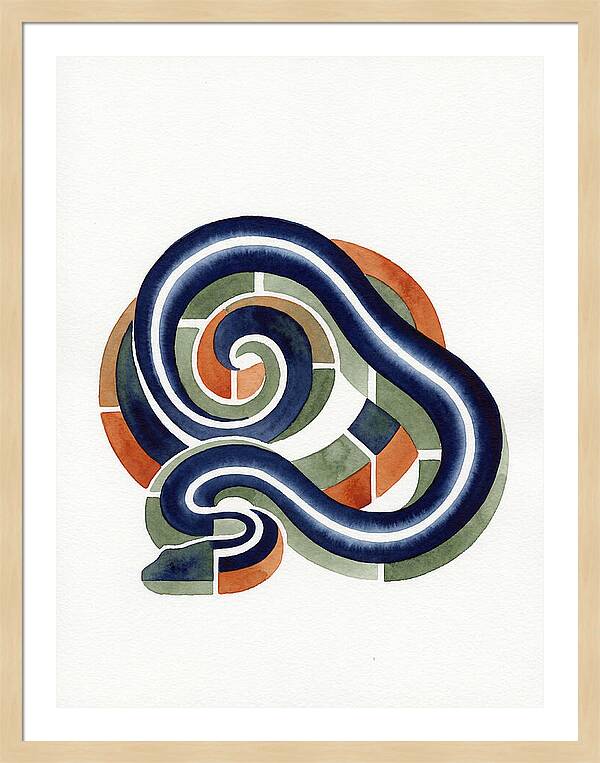 Garter Snake Minimalism