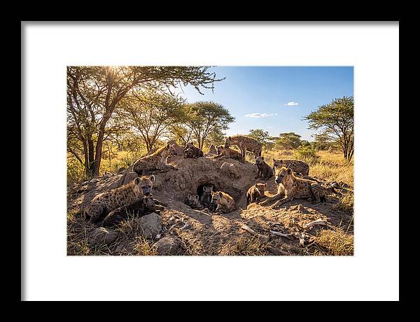Gathering Of The Hyena Clan