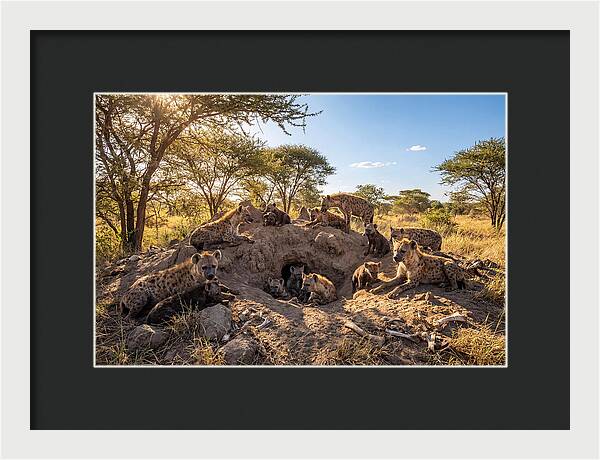 Gathering Of The Hyena Clan