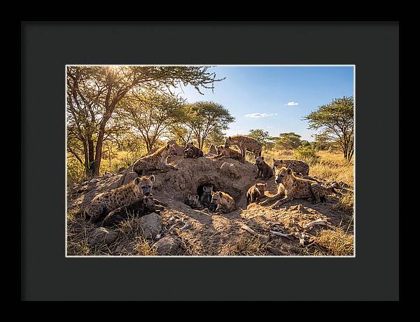 Gathering Of The Hyena Clan