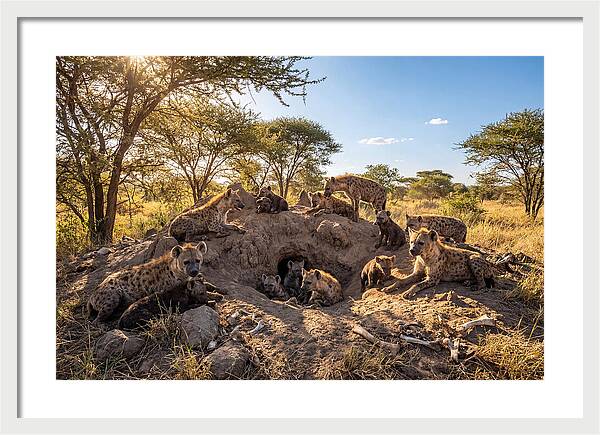 Gathering Of The Hyena Clan