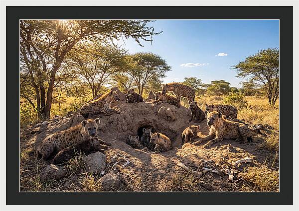 Gathering Of The Hyena Clan