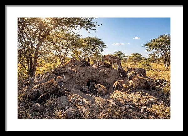 Gathering Of The Hyena Clan