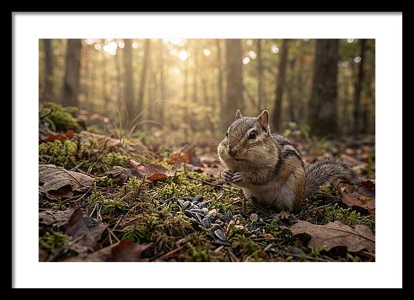 Gathering Seeds In Autumn