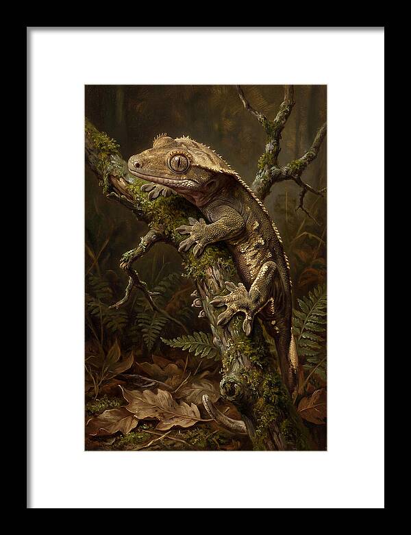 Gecko Resting On A Branch