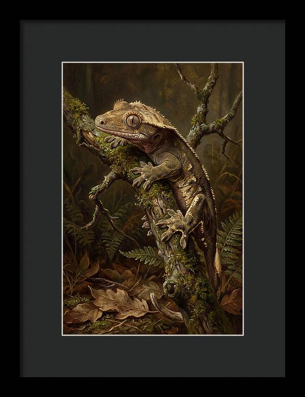 Gecko Resting On A Branch