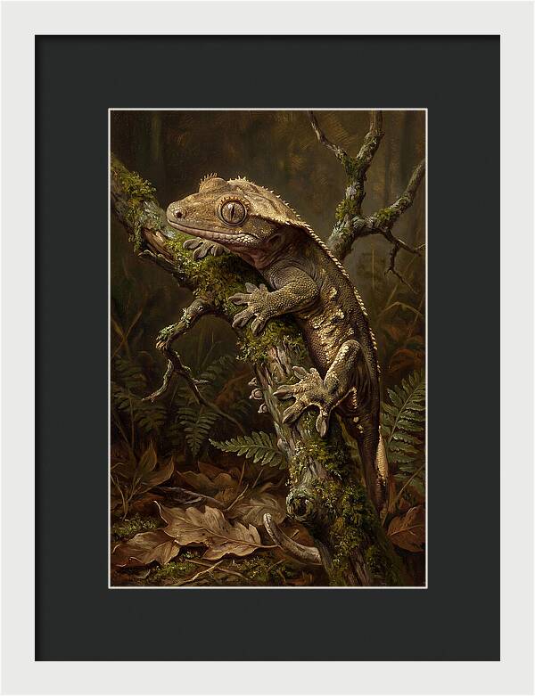 Gecko Resting On A Branch