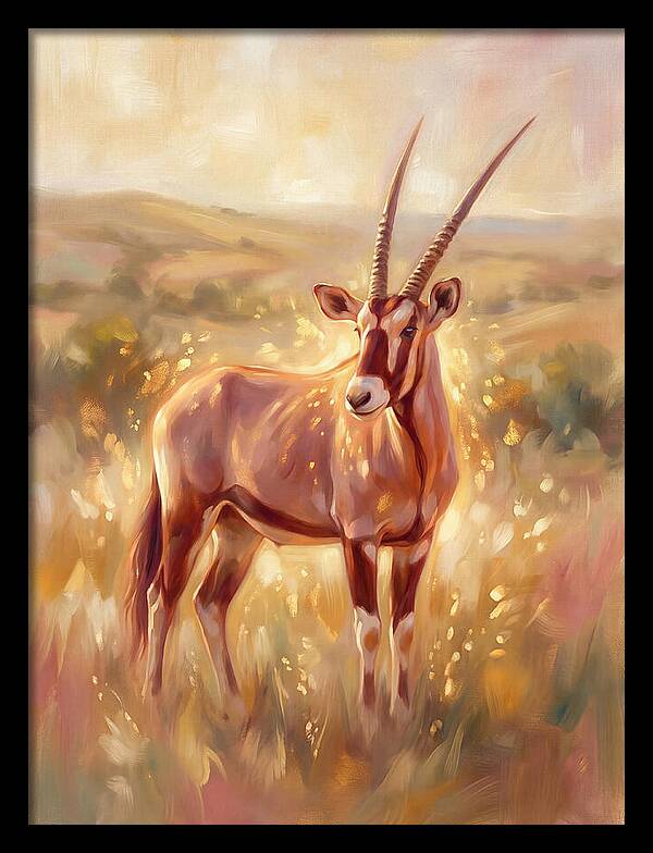 Gemsbok In Light