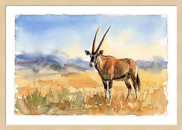 Gemsbok In Serene Landscape