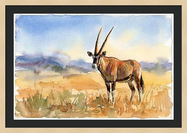Gemsbok In Serene Landscape
