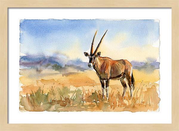 Gemsbok In Serene Landscape