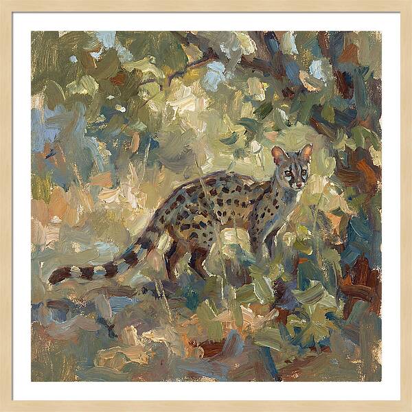 Genet Among The Leaves