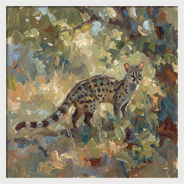 Genet Among The Leaves