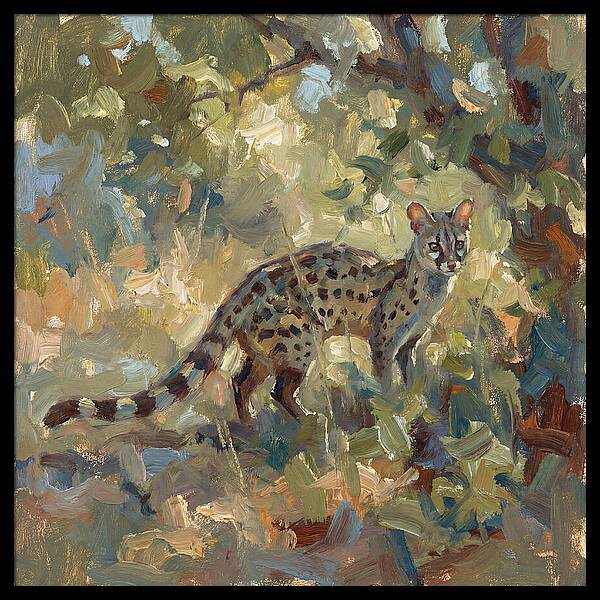 Genet Among The Leaves