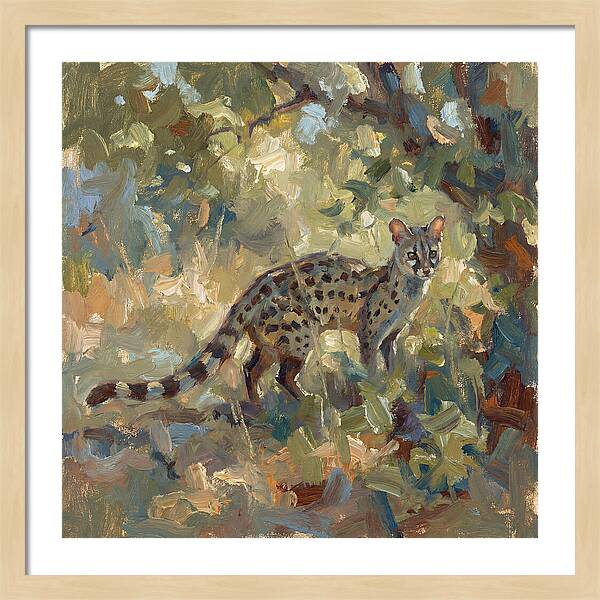 Genet Among The Leaves