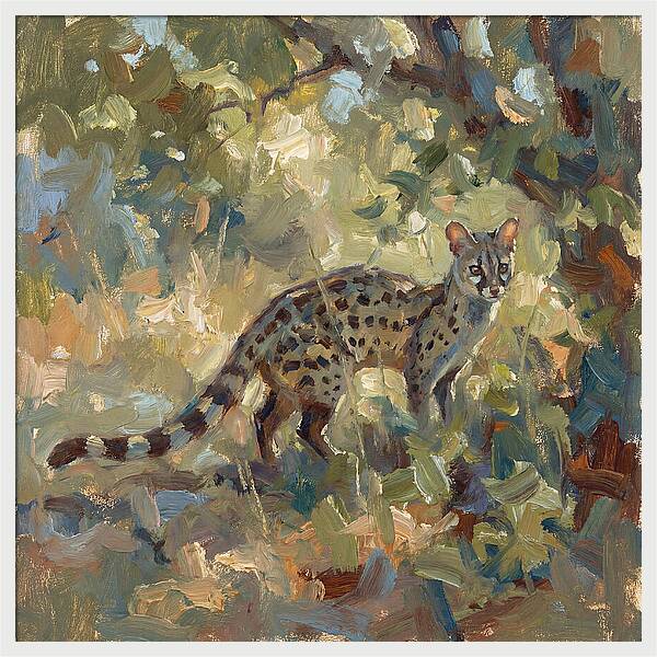 Genet Among The Leaves