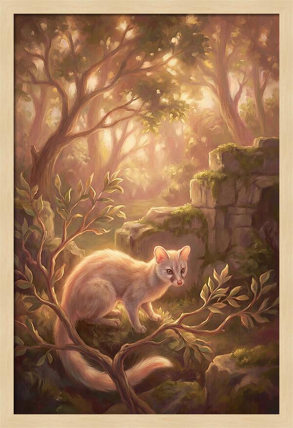 Genet In Enchanted Forest